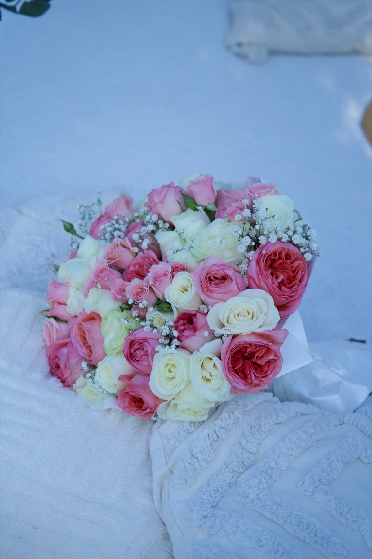 Bouquet of pink and white garden roses on a picnic blanket in Austin