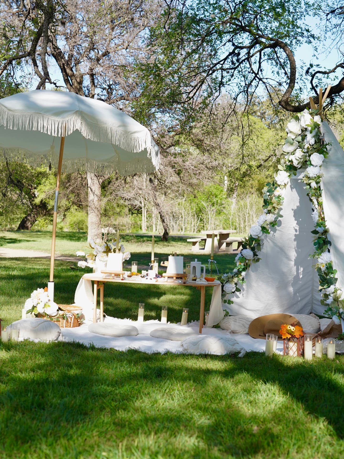 Romantic outdoor picnic